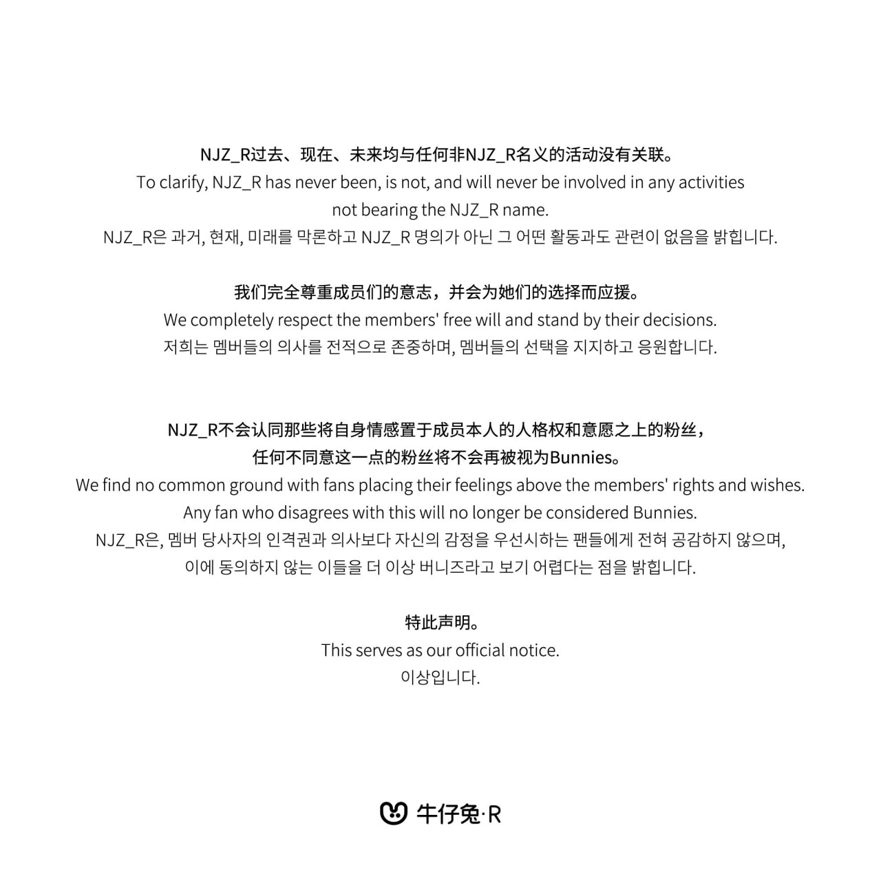 NJZ_R Statement